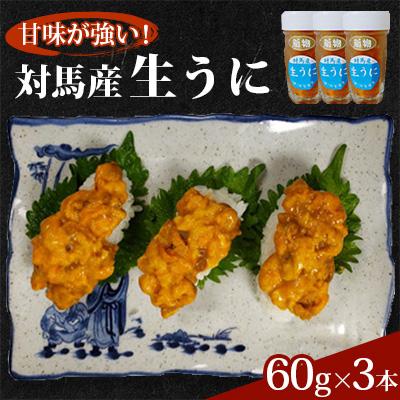 ふるさと納税 対馬市 対馬産生うに60g×3本