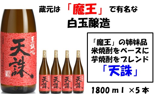 
                  【魔王の姉妹品】白玉醸造の「天誅」5本セット 4020-2
                