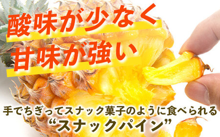 【先行予約】石垣島産 スナックパイン (4玉 約3㎏) 《5月上旬頃より順次発送》【 産地直送 沖縄 石垣 パイナップル フルーツ 】TP-8