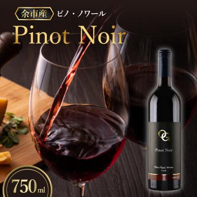 ふるさと納税 余市町 【OcciGabi Winery】 ピノ・ノワール 2021 750ml_Y012-0108