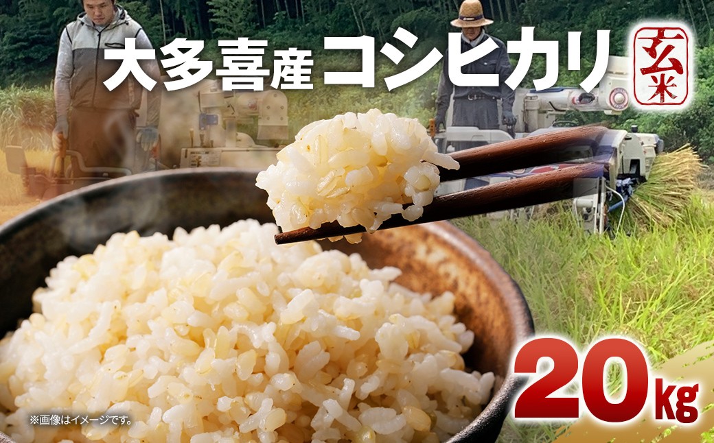
            W04702　令和７年産　大多喜産コシヒカリ　玄米２０㎏
          