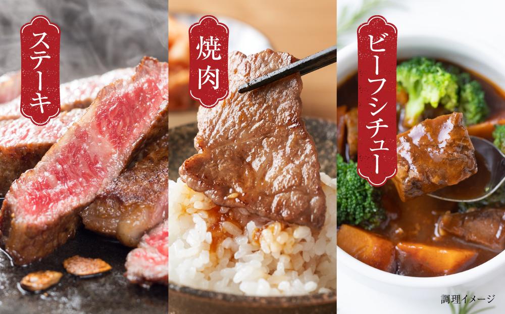 【定期便】飛騨牛（全３回）（ステーキ /焼肉 / ブロック[塊] ) 計1.6kg 全3回 飛騨高山ミート MZ101