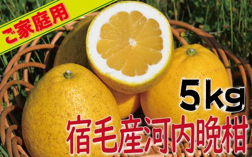 宿毛産 河内 晩柑 家庭用 5kg