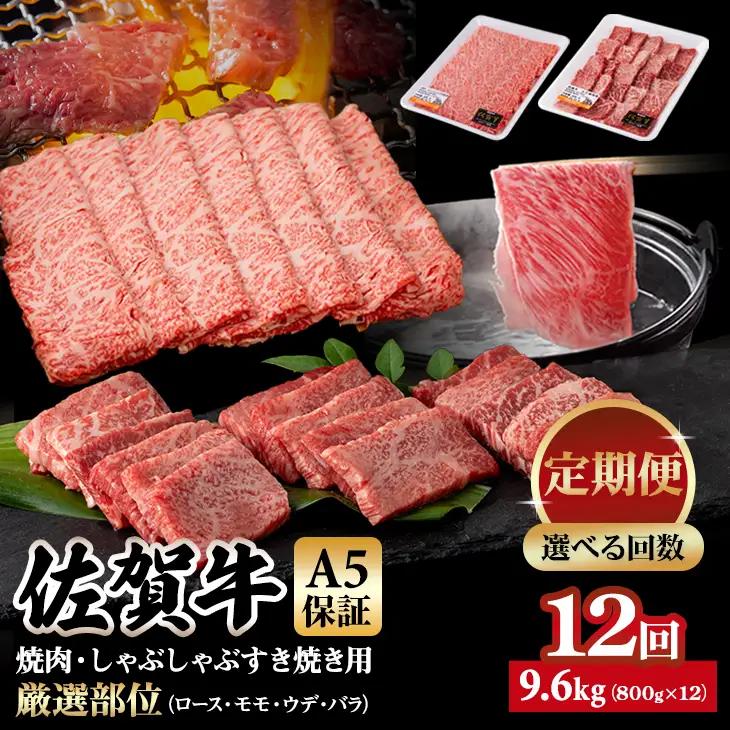【定期便】佐賀牛 A5 焼肉・しゃぶしゃぶすき焼き 厳選部位 合計800g（400g x 各1P）12回定期 計9.6kg(800gx12)  桑原畜産 Q252-003
