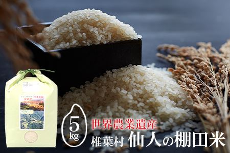【世界農業遺産】 仙人の棚田米 5kg 椎葉産 米 産地直送【送料無料 宮崎県産 米 お米 ご飯 国産 おにぎり 贈り物 ギフト 贈答 お中元 お歳暮 父 母 敬老 特産 備蓄米 非常用 産地直送】【JA-25】