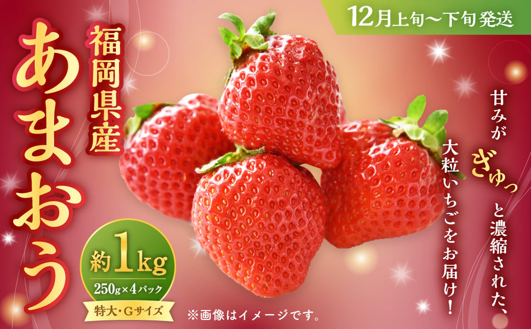 
            福岡県産 あまおう 1000g（250g×4パック）1kg 特大 Gサイズ 大粒 いちご 苺 あまおう 果物 くだもの フルーツ 九州産 福岡県 大刀洗町 【2024年12月上旬～下旬発送予定】
          