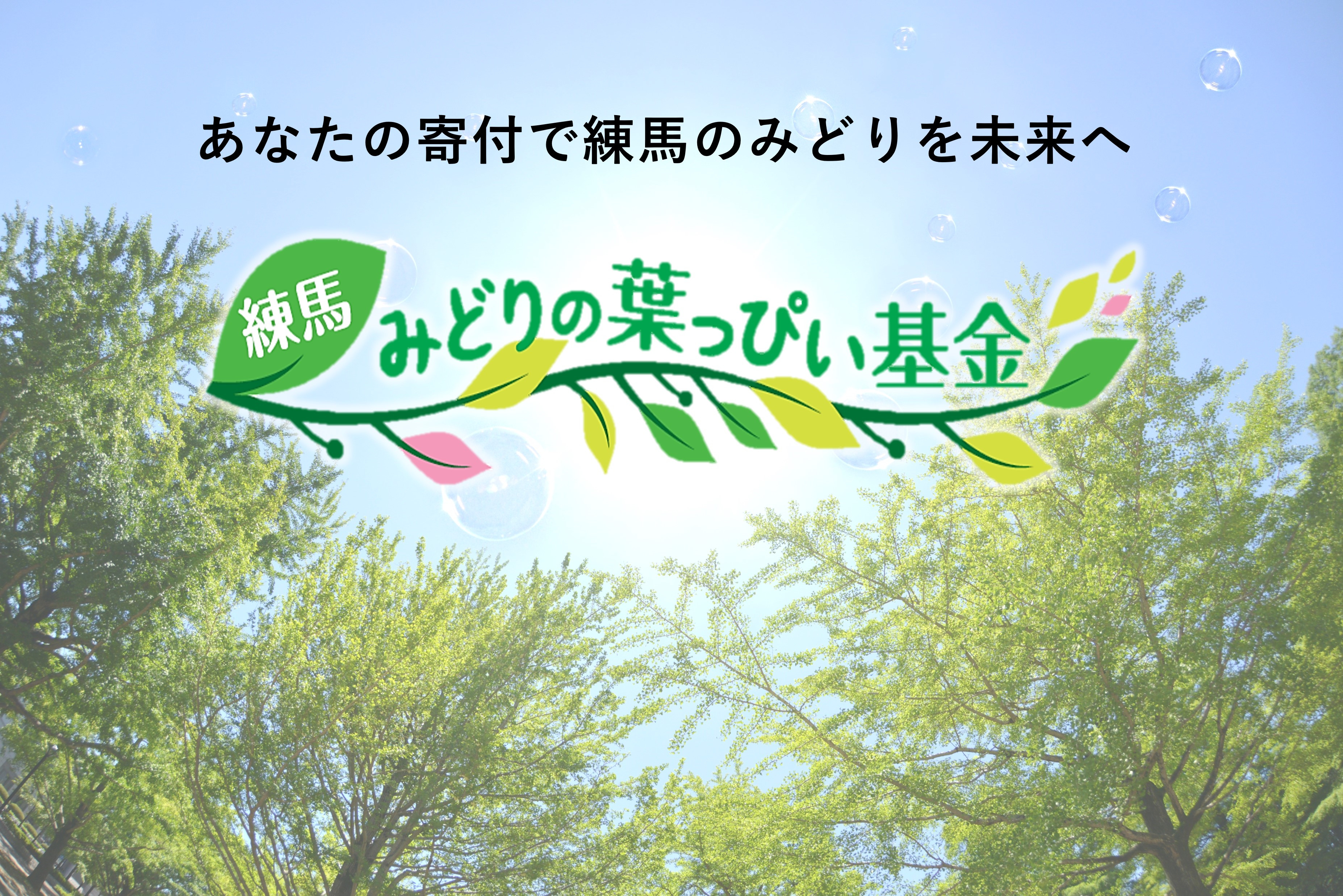 
            練馬みどりの葉っぴい基金
          