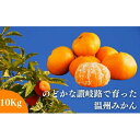 【ふるさと納税】のどかな讃岐路で育った温州みかん 約10kg【11月中旬以降発送開始】　 果物 柑橘 フルーツ おやつ こたつ デザート 香川県産 隠れた名産地 甘い 爽やか 冬 冬のフルーツ 　お届け：2024年11月中旬～2025年2月末