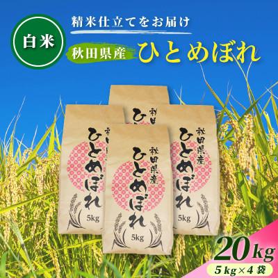 ふるさと納税 由利本荘市 令和7年産【白米】通算5回特A 秋田県産ひとめぼれ 20kg(5kg×4袋) 配送 1回のみお届け