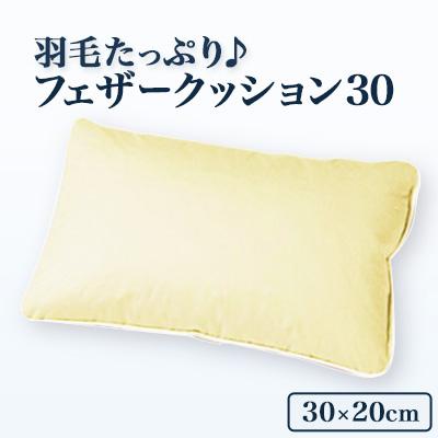 ふるさと納税 西郷村 羽毛たっぷりで快適リラックスタイム!フェザークッション30(30×20cm)