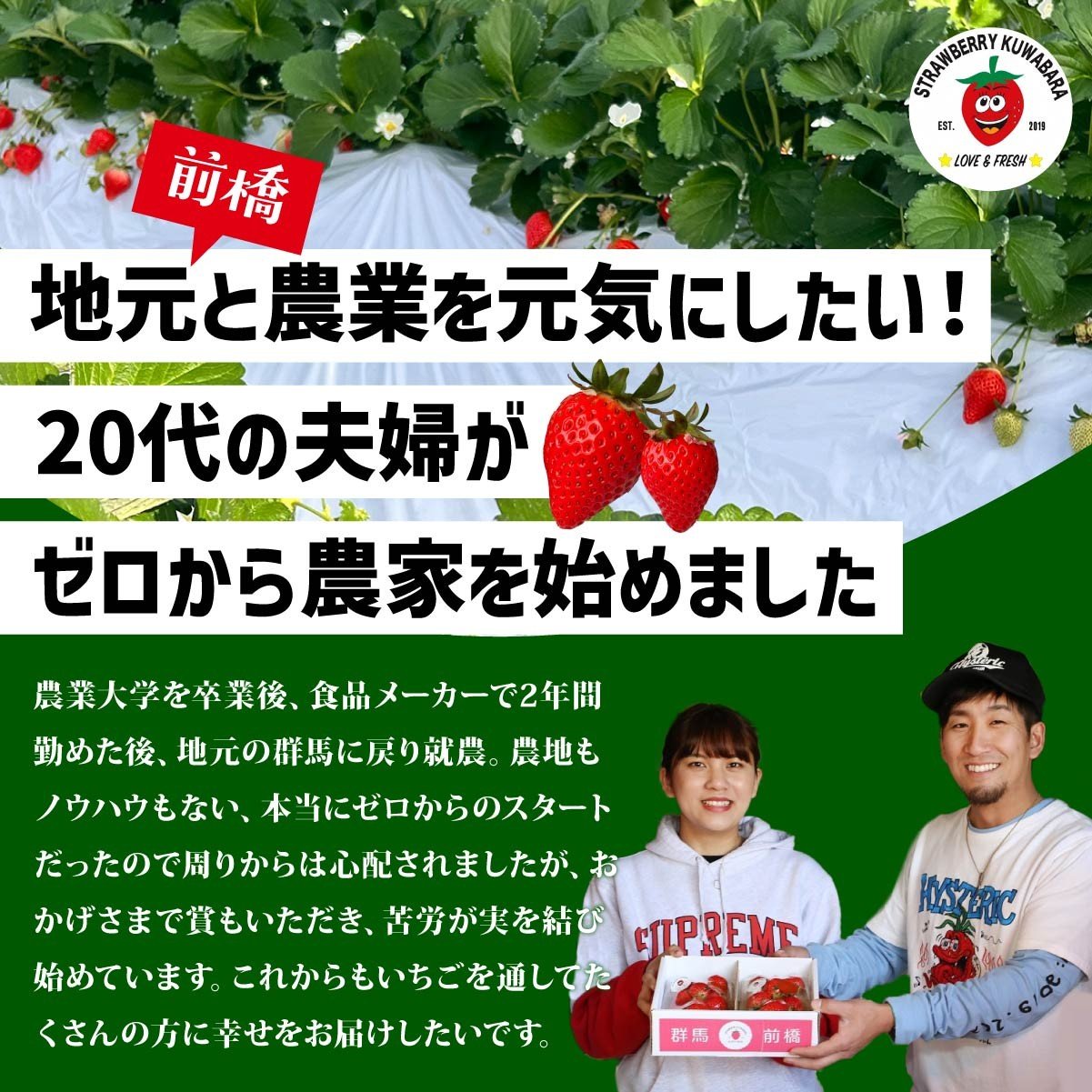 いちご やよいひめ (贈答用) 約800g 群馬県いちご品評会最高金賞受賞