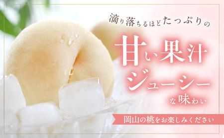 桃 2024年 先行予約 白桃 白鳳 約1.8kg 5～7玉 進物用 もも モモ フルーツ 果物 岡山 赤磐市産 農マル園芸 あかいわ農園