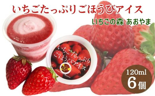 
            いちごたっぷりごほうびアイス【6個 贅沢 ごほうび スイーツ アイス 苺 ストロベリー 特濃 フレッシュ ギフト 贈り物 おもてなし パーティー ご自宅用 おすそわけ 安来 島根県 安来市】
          
