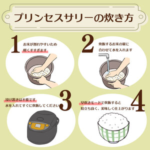 プリンセスサリー 4kg 米 お米 こめ コメ 白米 精米 新米 ご飯 ごはん おいしい 日用品 国産 エムスクエア・ラボ 静岡県 牧之原市
