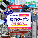 【ふるさと納税】HISふるさと納税宿泊予約専用クーポン（東京都新宿区）30,000円分 旅行 トラベル 出張 ワーケーション リモート ホテル 観光 関東 東京 新宿 電子クーポン 3万円 30000円 0109-006-S06