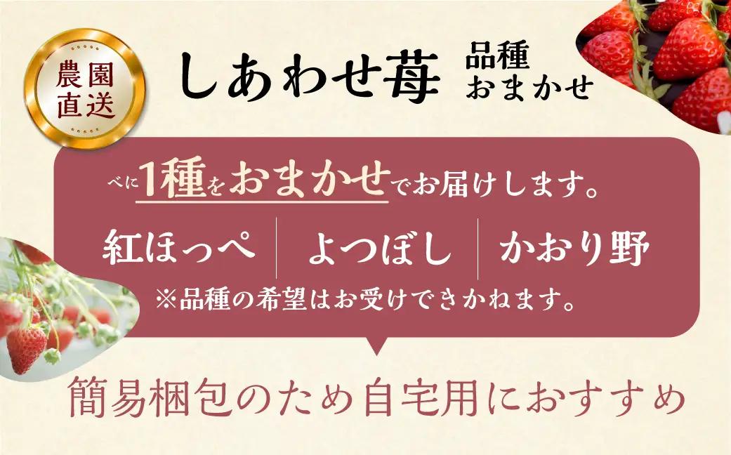 【定期便5回】【2027年1月より発送開始】 いちご贅沢 定期便 5回 紅ほっぺ 1kg ( 250g × 4p ) しあわせ苺 サイズ バラバラ 訳あり 訳アリ 含む 農園直送 フルーツ 苺 イチゴ