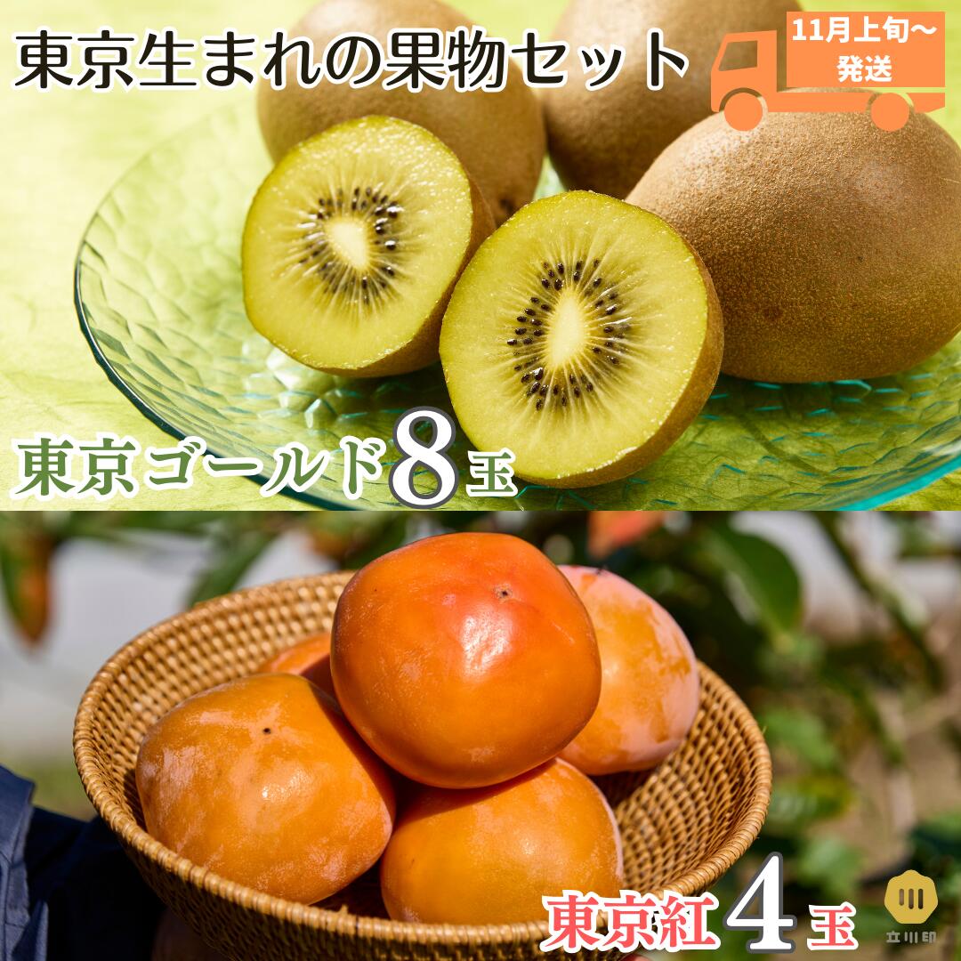 【ふるさと納税】【2025年11月上旬より発送】ゴールドキウイ 東京ゴールド 追熟済 東京紅 種なし柿 セット 東京産 果物 フルーツ