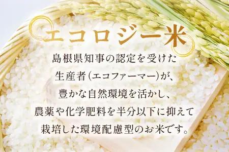 【定期便】石見銀山天領米(5kg×5回お届け)【定期便 定期 5回 コシヒカリ 精米 5kg×5回 合計25kg 島根県産 大田市産 米 氷感熟成 エコロジー米 天領米】