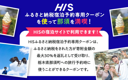 HISふるさと納税宿泊予約専用クーポン（栃木県那須町）3,000円分｜宿泊 宿泊券 旅行 旅行券 旅券 クーポン 旅 トラベル お出かけ 温泉 宿泊予約 HIS 那須 〔B-114〕