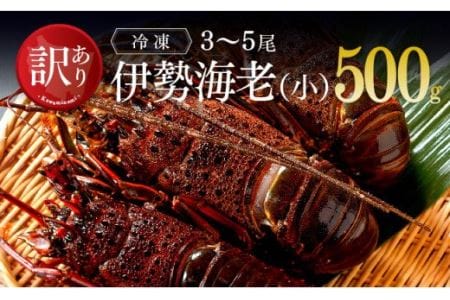 【訳あり】冷凍伊勢海老（小）500g　(3～5尾)【期間限定 数量限定 魚介類 えび 伊勢えび イセエビ 日向灘 訳あり 伊勢海老】