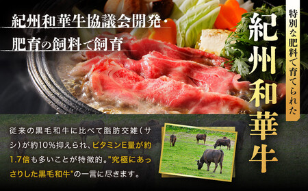 ［A4・A5］熟成紀州和華牛 切り落とし 600g（200g×3P）