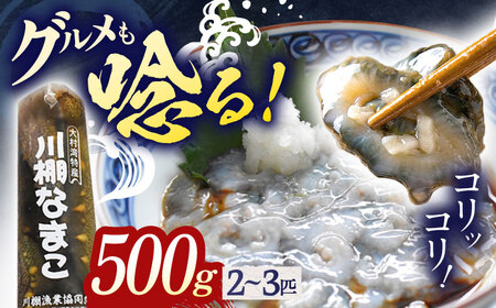 1月下旬までの期間限定！川棚 なまこ 約500g【森水産】[OAI002] / なまこ魚介海鮮正月なまこ魚介海鮮正月なまこ魚介海鮮正月なまこ魚介海鮮正月