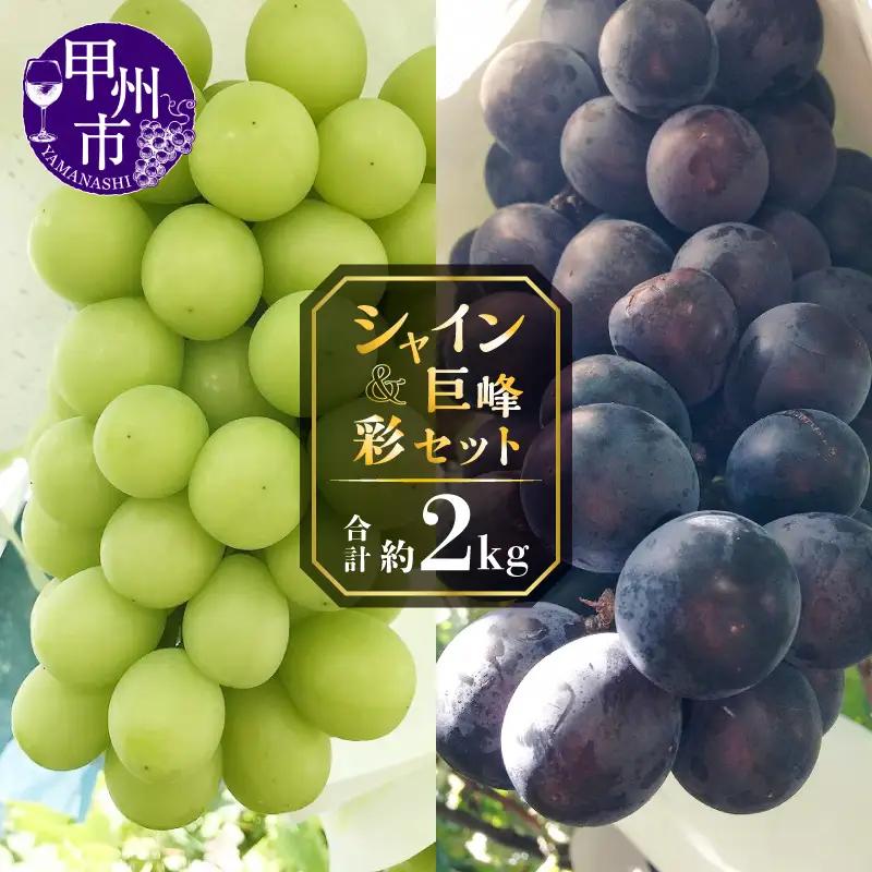 甲州屋厳選 シャイン＆巨峰の彩セット 約2kg【2026年発送】C-151 シャインマスカット フルーツ 