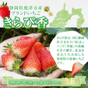 a15-472　いちご静岡限定「きらぴ香」約1.6kg 計6パック