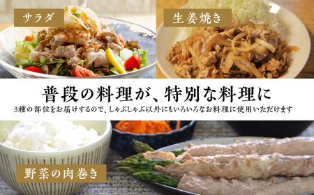 【3回 定期便】国産 ブランド 豚肉 食べ比べ 400g × 3種  1.2kg (小分け 200g) しゃぶしゃぶ用 ロース 肩ロース バラ 冷凍 田原ポーク 個包装 定期便 豚肉