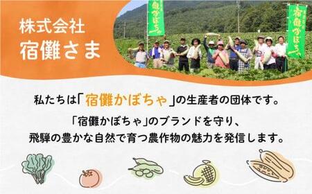 【数量限定】 2024年 先行予約 【9月頃より発送開始】 宿儺かぼちゃ 南瓜 カボチャ 飛騨野菜 飛騨の特産品 野菜 数量限定 期間限定 飛騨高山 宿儺さま TR4279