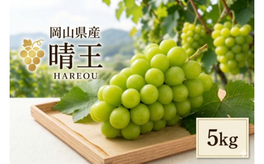 岡山県産 シャインマスカット 「晴王」  5kg  ぶどう フルーツ お中元 ギフト 御祝 御礼 贈答用 プレゼント 敬老の日 高級 フルーツギフト 産地直送 送料無料