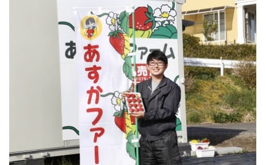 【2026年 先行予約】いちご 4種食べ比べ 大容量パック 約500g×4パック 2kg |｜コク 甘み 朝採れ やよいひめ ななか 恋みのり あまおとめ あすかルビー 贈答用 新鮮 完熟 いちご 旬