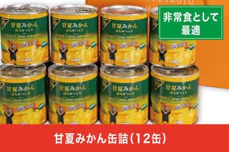 B80-16 甘夏みかん缶詰（12缶入）