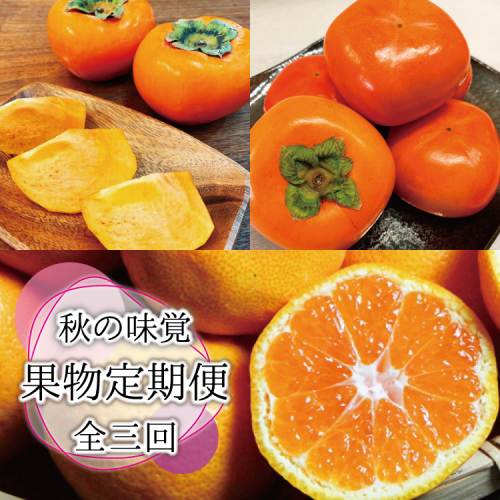 【3か月定期便】秋の味覚 果物定期便　柿・みかん　旬のフルーツを毎月お届け♪【tkb130】