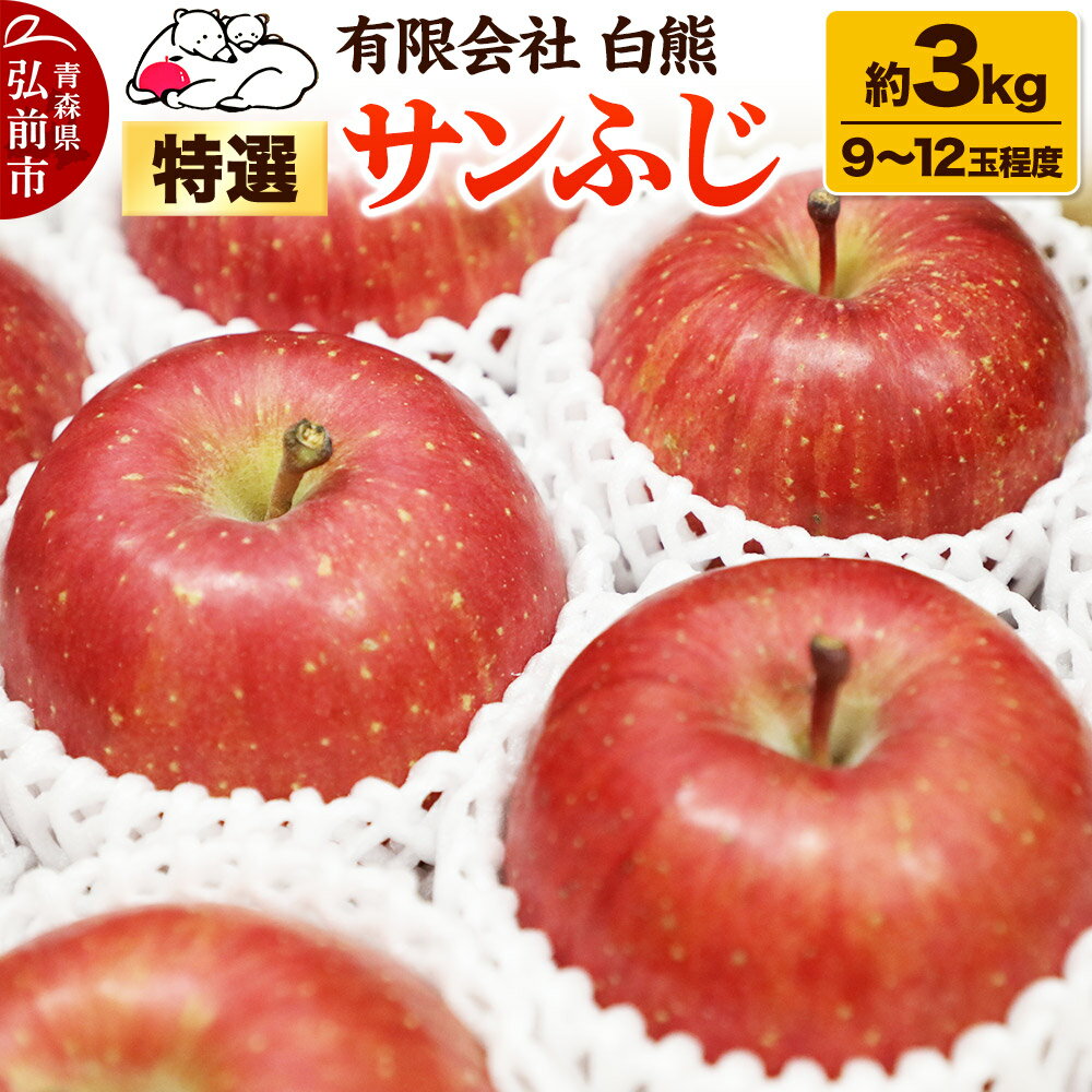 【ふるさと納税】りんご 特選【25年11月出荷】白熊 サンふじ 絆 約3kg（9〜12玉程度）糖度13度