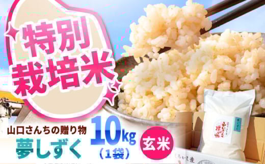 【令和7年度産】 特別栽培米 夢しずく（玄米） 10kg 【y'scompany】 米 10kg 特A 特A評価  玄米  佐賀県産 国産米 コメ こめ お米 ブランド米 おにぎり ゆめしずく 九州 佐賀県 白石町 人気 おすすめ 白石  令和8年発送[IAS024]
