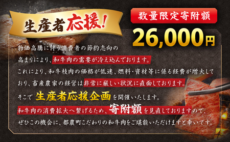 ≪肉質等級4等級以上≫宮崎牛すき焼きセット(合計1kg) 肉 牛 牛肉 おかず 国産_T030-003【人気 肉 ギフト 肉 食品 肉 すきやき 肉 しゃぶしゃぶ 肉 BBQ 肉 贈り物 肉 送料無料