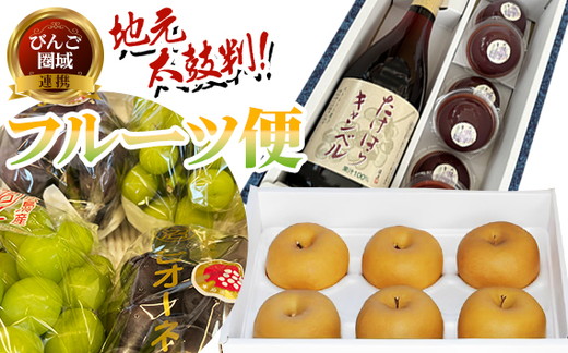 【先行予約】【3回定期便】【びんご圏域連携】地元太鼓判フルーツ便 ｜ 梨 ぶどう ぶどうジュース ぶどうゼリー（世羅町・竹原市・福山市） ※北海道・沖縄・離島への配送不可 ※2025年8月上旬〜9月下旬頃に順次発送予定