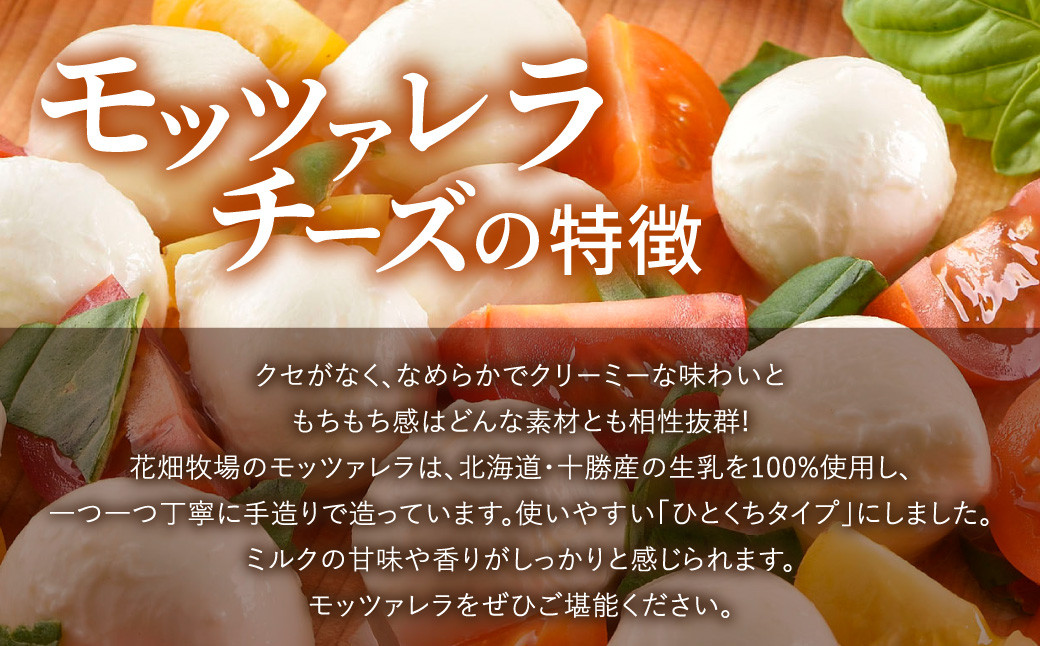 モッツァレラチーズひとくちタイプ 約1kg【A107】