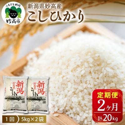 ふるさと納税 妙高市 【2026年4月上旬発送】【定期便】令和7年産 新潟県妙高産コシヒカリ10kg(5kg×2袋)×2回