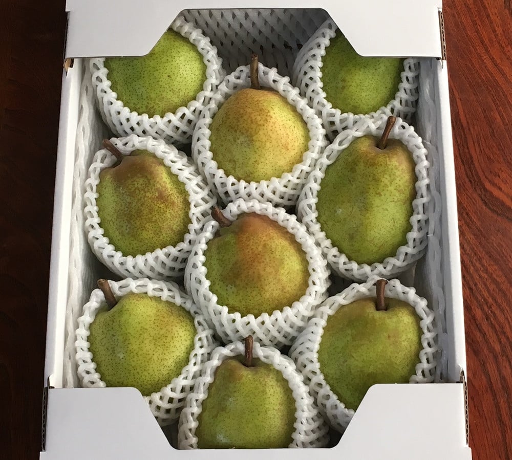 
            西洋梨（ラ・フランス）３ｋｇ　８～１１玉　特秀品　化粧箱入　0049-2511
          