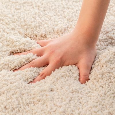 ふるさと納税 海南市 思わず頬ずりしたくなるバスマット プレミアム45×60cm　ベージュ |  | 01