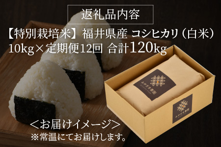 【令和5年産】【12ヶ月連続お届け】【特別栽培米】福井県産 コシヒカリ 10kg ～化学肥料にたよらない有機肥料100%～ ネオニコフリー （白米） [O-13401_01]