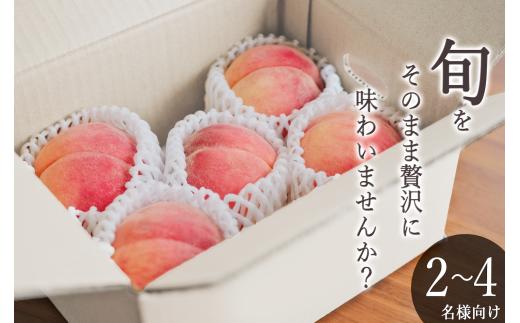 ＜先行予約2026年＞笛吹市産 桃 2kg(5~8個入)  193-015
