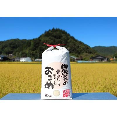 ふるさと納税 売木村 【令和7年産】うるぎ米 10kg