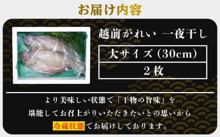 冷蔵配送！ 越前 赤かれい干物 2枚 大サイズ 「天日干し」  越前の港から直送！旨味濃縮 一夜干し【干物 ひもの 冷蔵ひもの 赤ガレイひもの かれい干物 カレイ干物 5000円ひもの 添加物不使用ひ