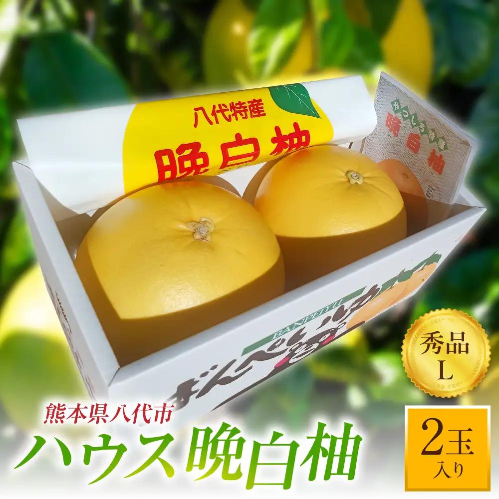 柑橘 【先行予約】ハウス晩白柚 秀品Lサイズ 2玉入り【2026年12月中旬より順次発送】 柑橘