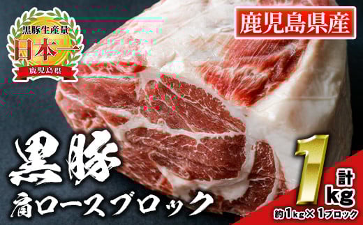 isa659 鹿児島県産豚肉！黒豚肩ロースブロック肉(計1kg・約1kg×1ブロック) ふるさと納税 伊佐市 特産品 国産 鹿児島 九州産 豚 豚肉 肩 ロース チャーシュー 焼豚 BBQ バーベキュー キャンプ アウトドア 冷凍 冷凍便 【財宝】