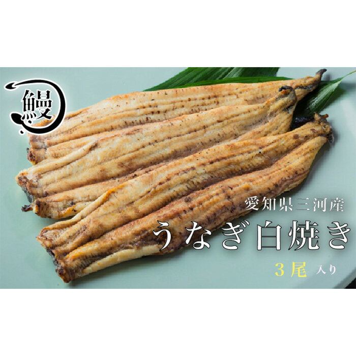 【ふるさと納税】 うなぎの白焼き3尾 ／ 花心亭 熟練職人 三河一色 高級 鰻 ふっくら 白焼き こだわりのたれ お取り寄せ ごちそう 贈り物 送料無料 愛知県 No.145