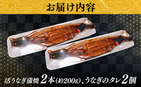 うなぎの美味しさはタレで決まる！自慢の味・国産活うなぎ蒲焼（2本入）